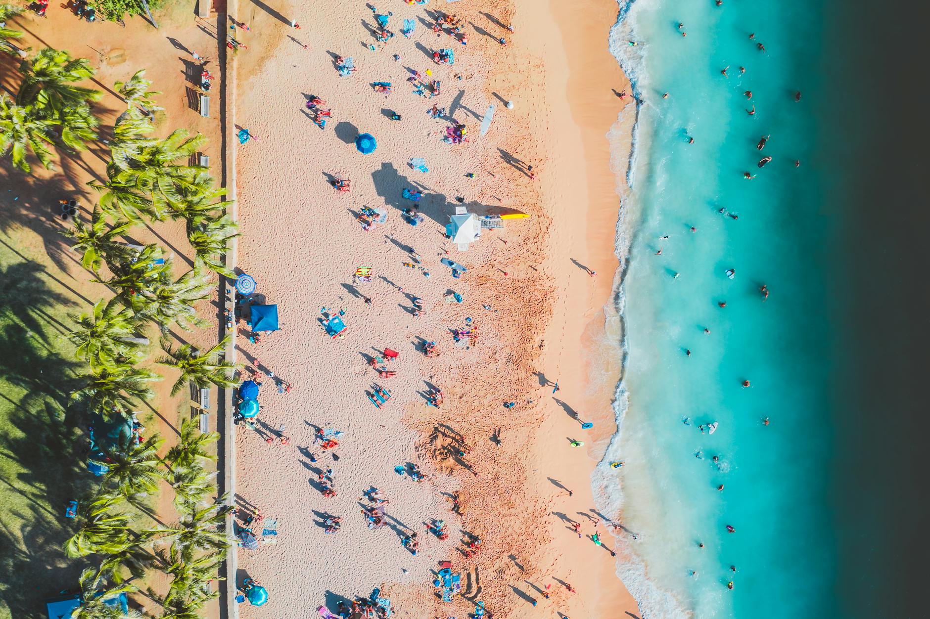 people on sand shore enjoying ocean water